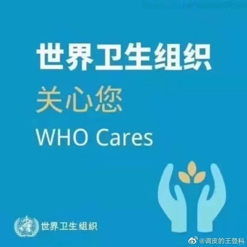 沈阳哪里有玩抵抗组织的或者解密希特勒