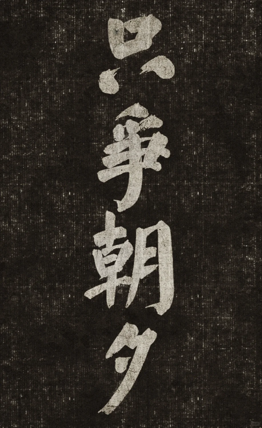 只争朝夕