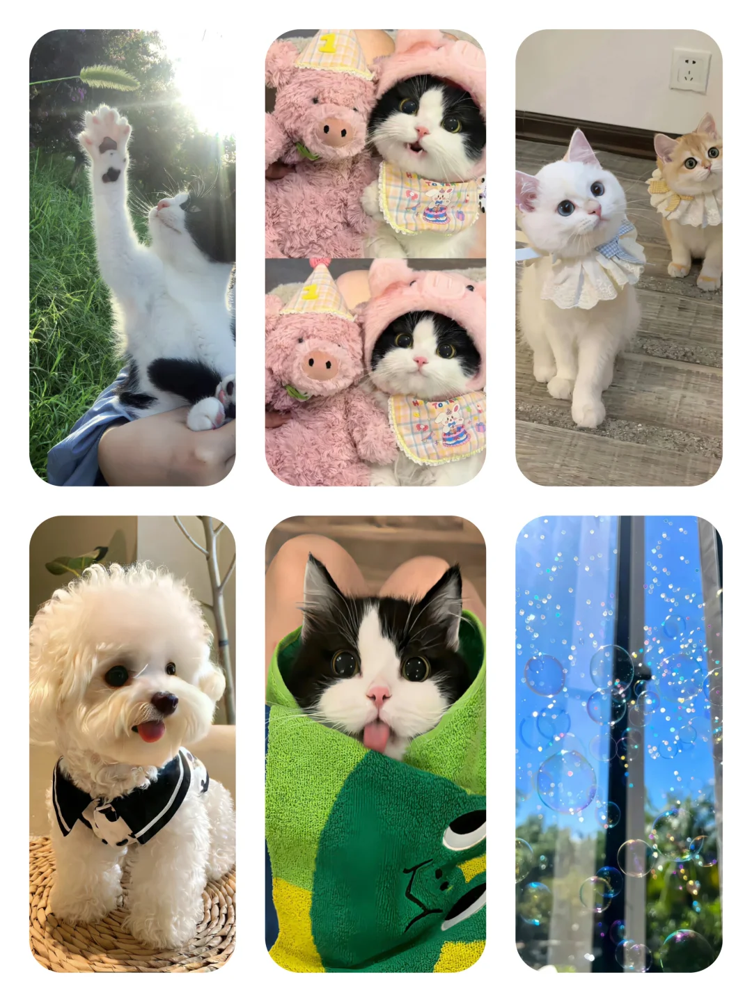 多风格壁纸来啦来啦