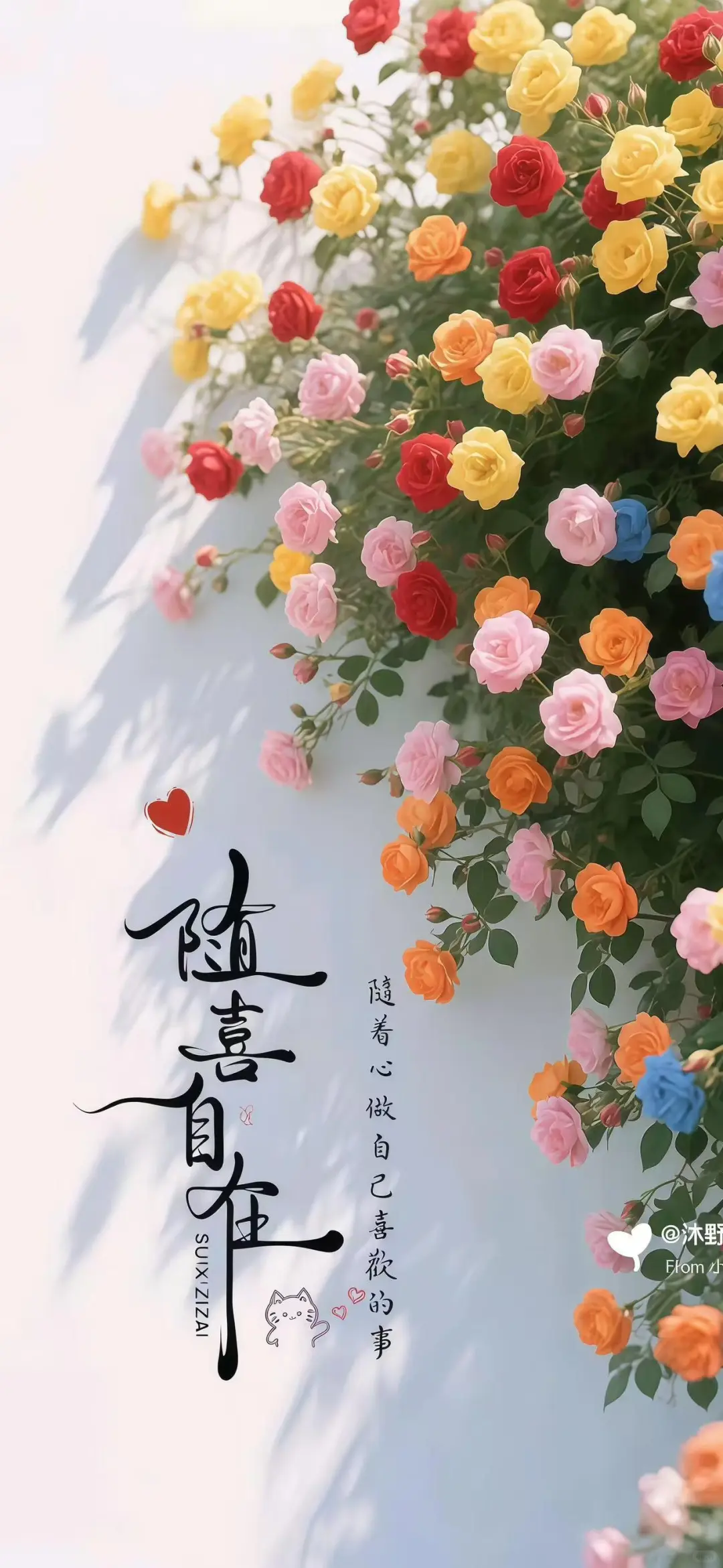 只生喜欢不生愁，所目皆为光～