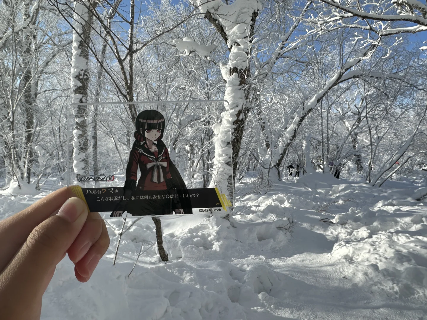 ꒰ঌ雪国之乡໒꒱· ﾟ