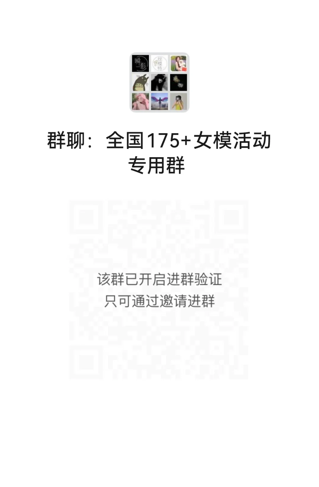 全国175女模