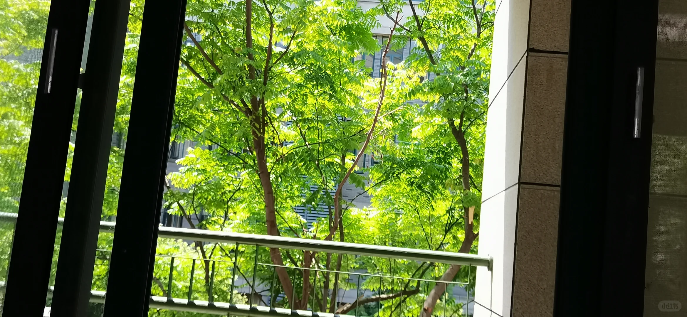 07女高 和高中生活说再见啦！