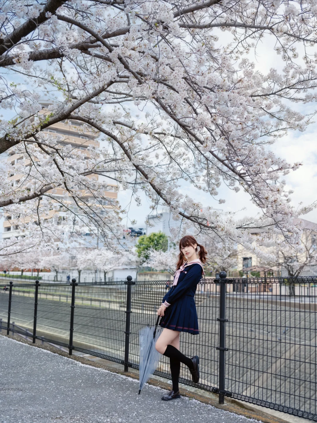 🇯🇵 好久才等来天空放晴
