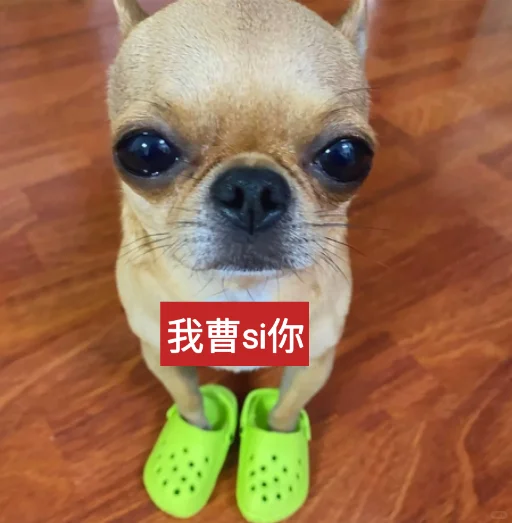 吉娃娃（自制表情包）