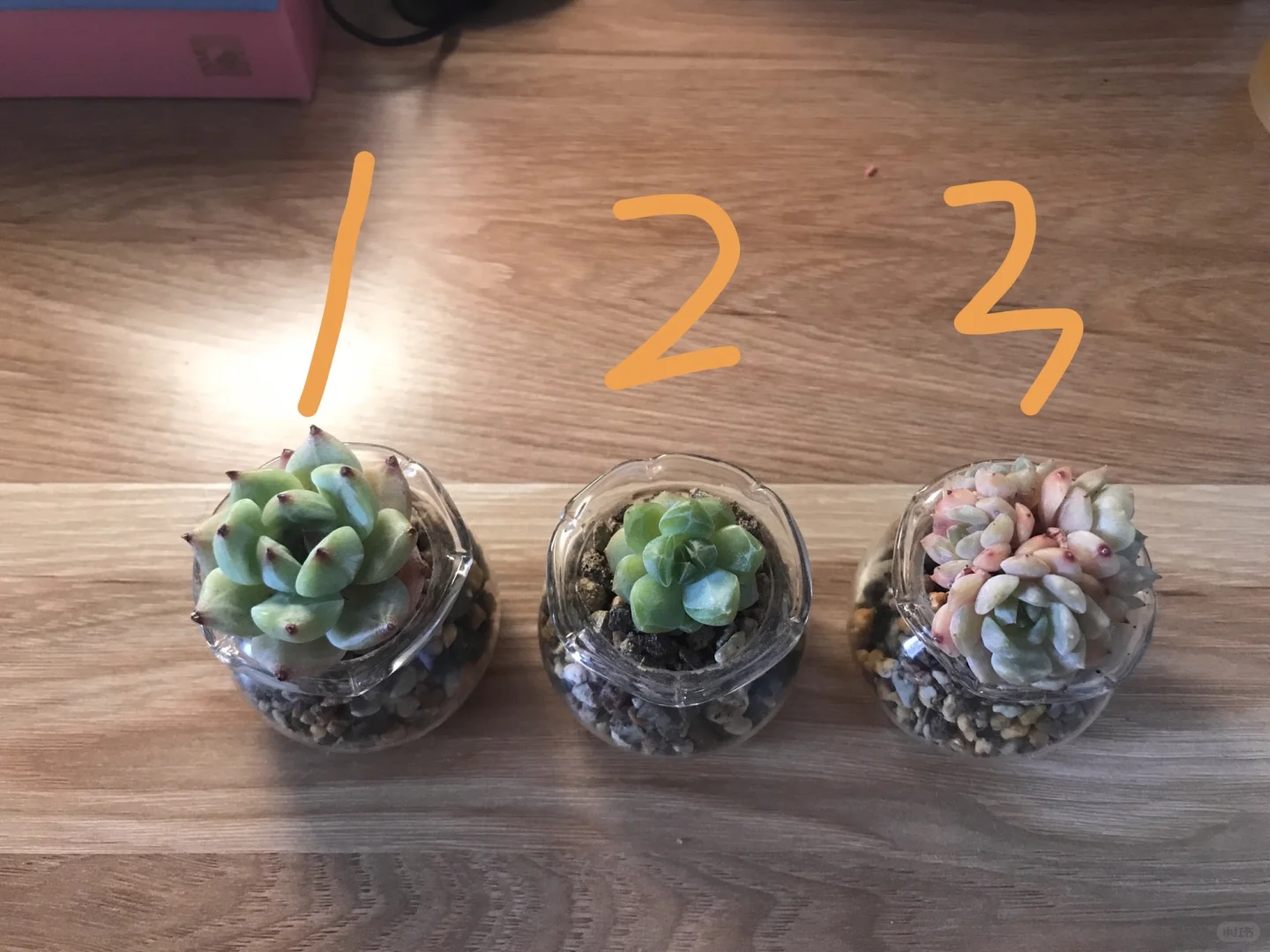 你在别人眼里是小天使吗？你有多么美好呀？