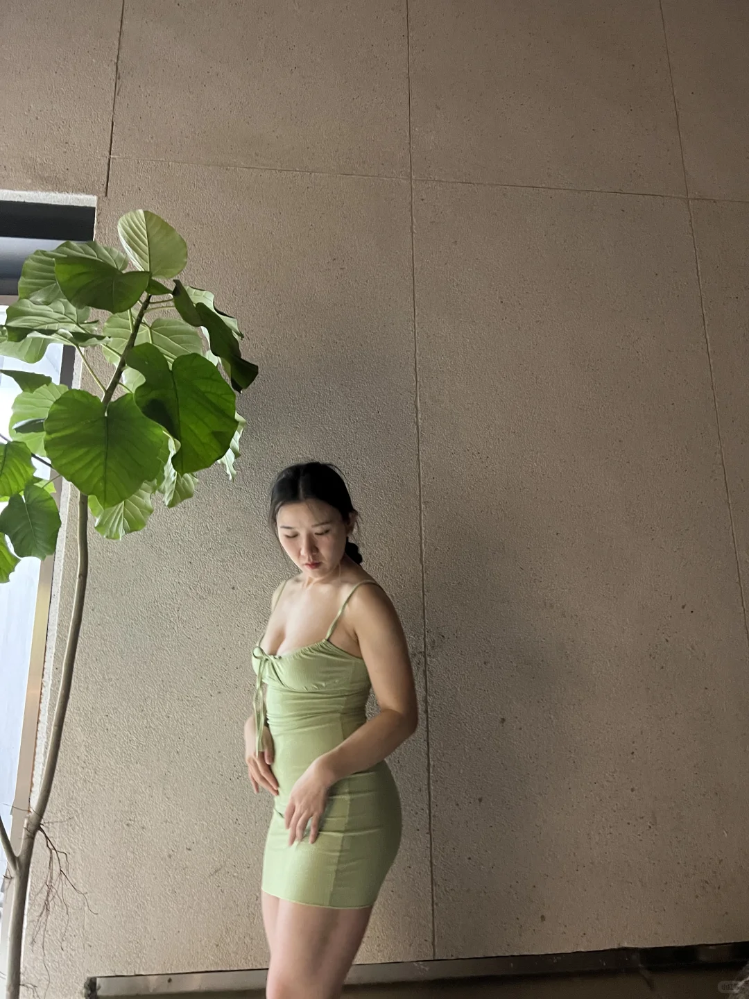 夏萤绿