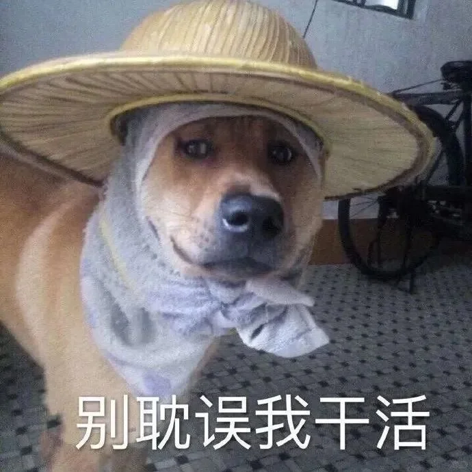 趣味狗狗表情包