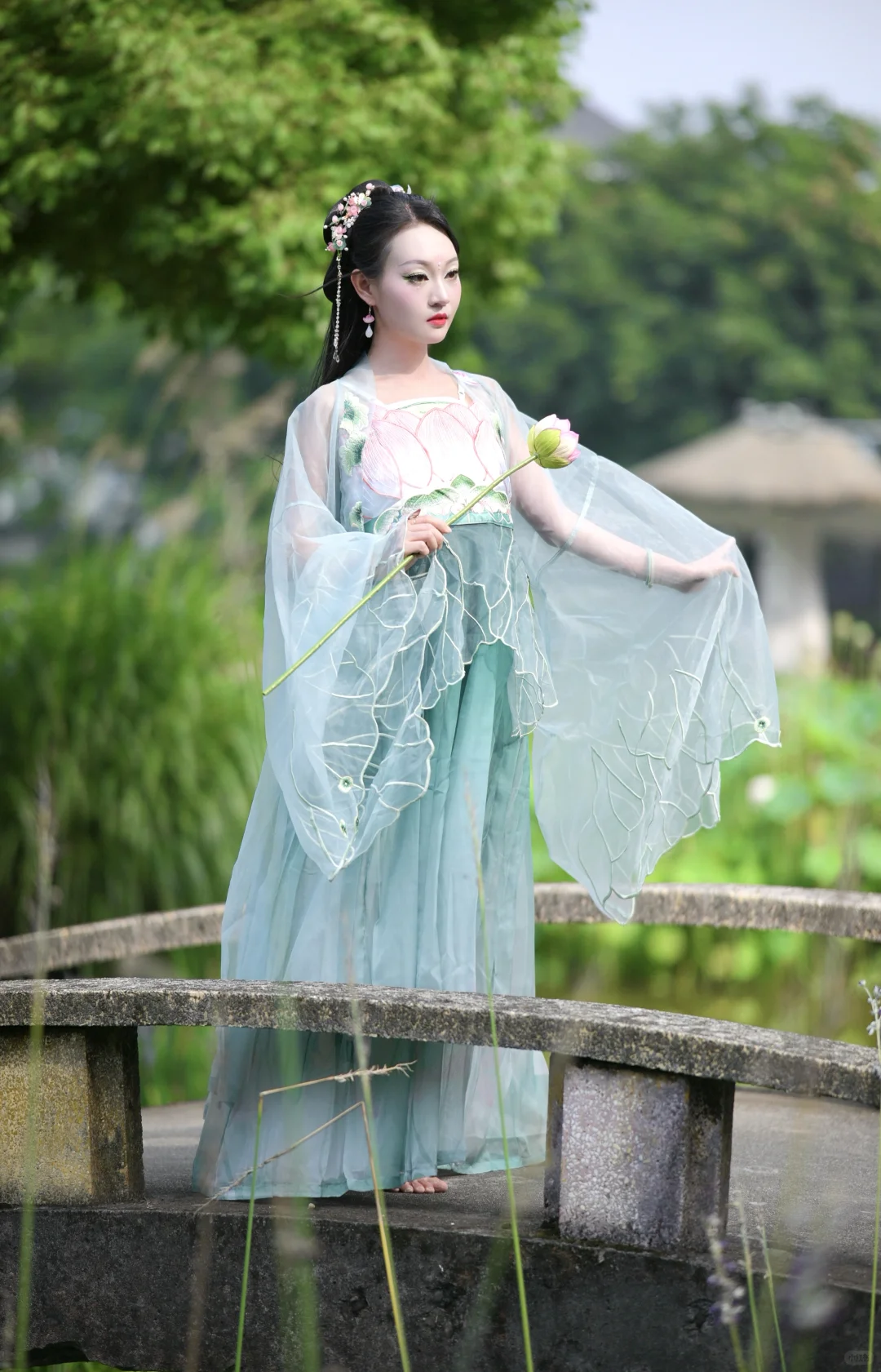 🪷坚韧又厉害的荷花仙子