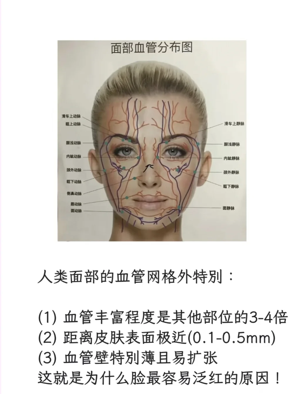 赛飞儿居然不是真正的黄金裔？