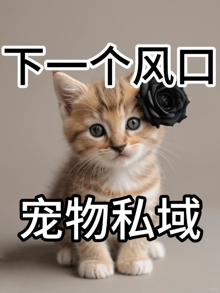 18岁做宠物私域，单月70w的模式！