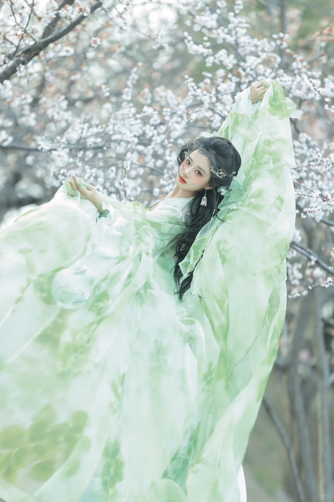 “落花时节又逢君”我好像拍到小说封面了！