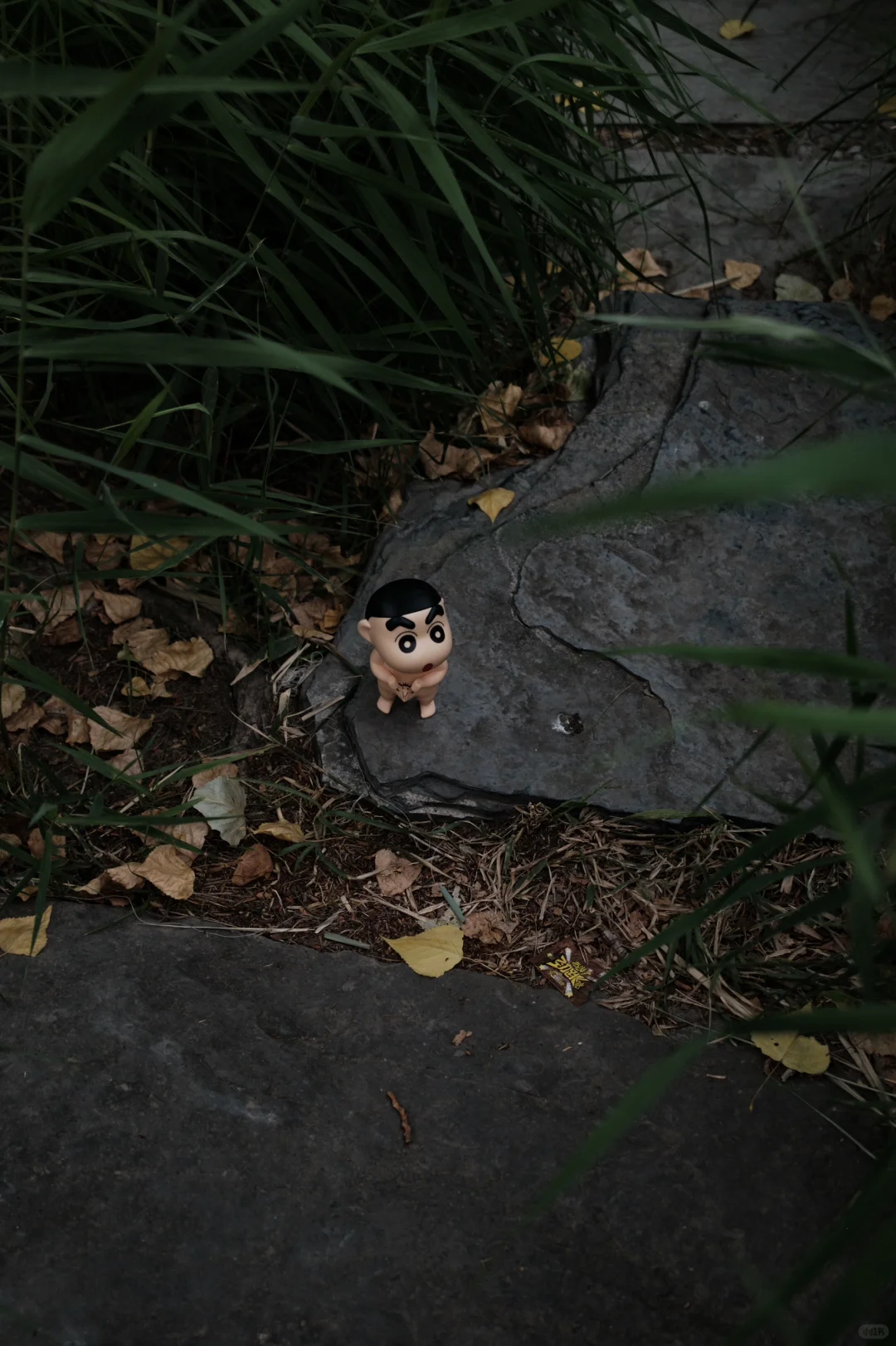 蜡笔小新的个人写真集（二）