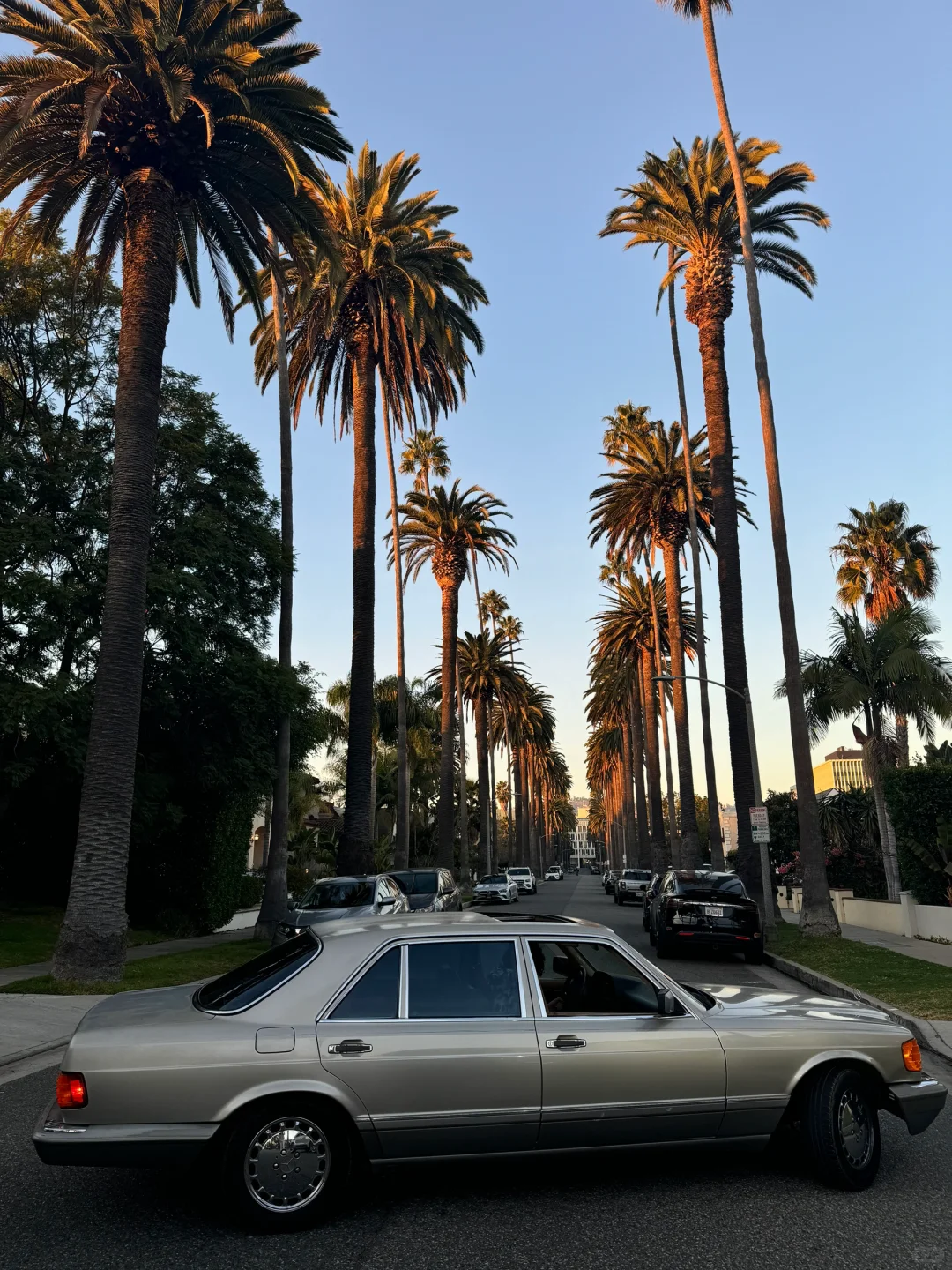 me & my bro’s vintage Mercedes🚗🌴