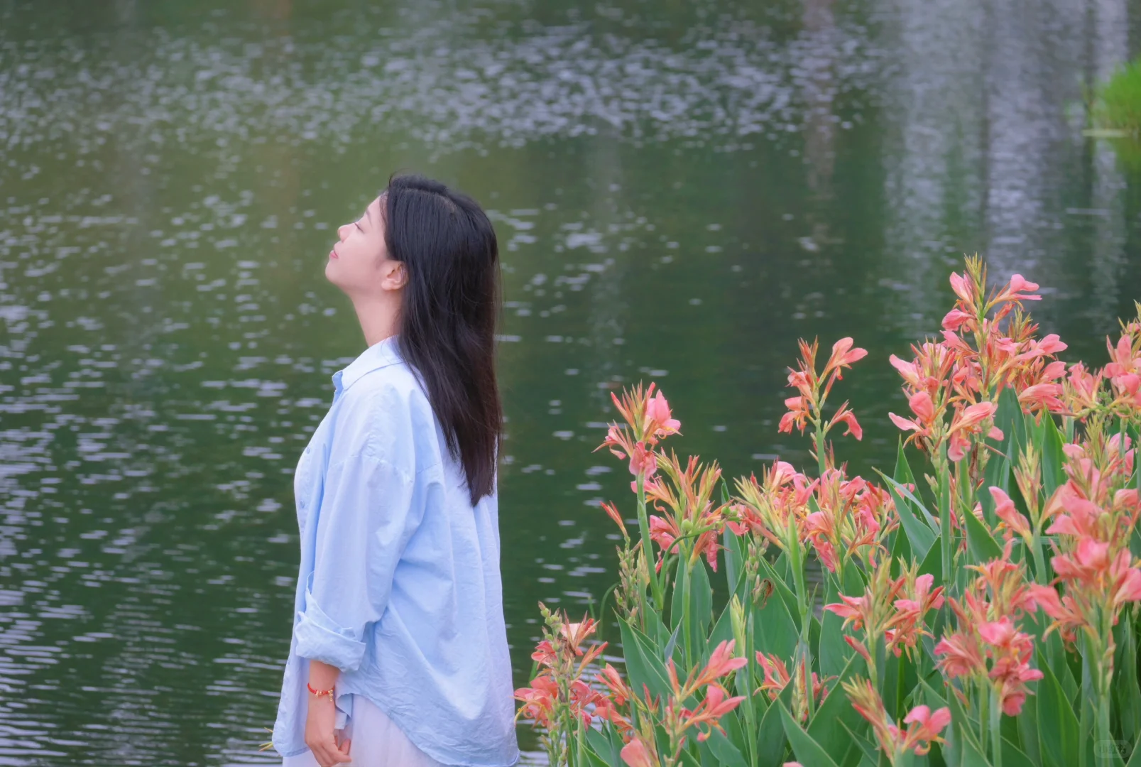 走走停停的花间漫步🌸