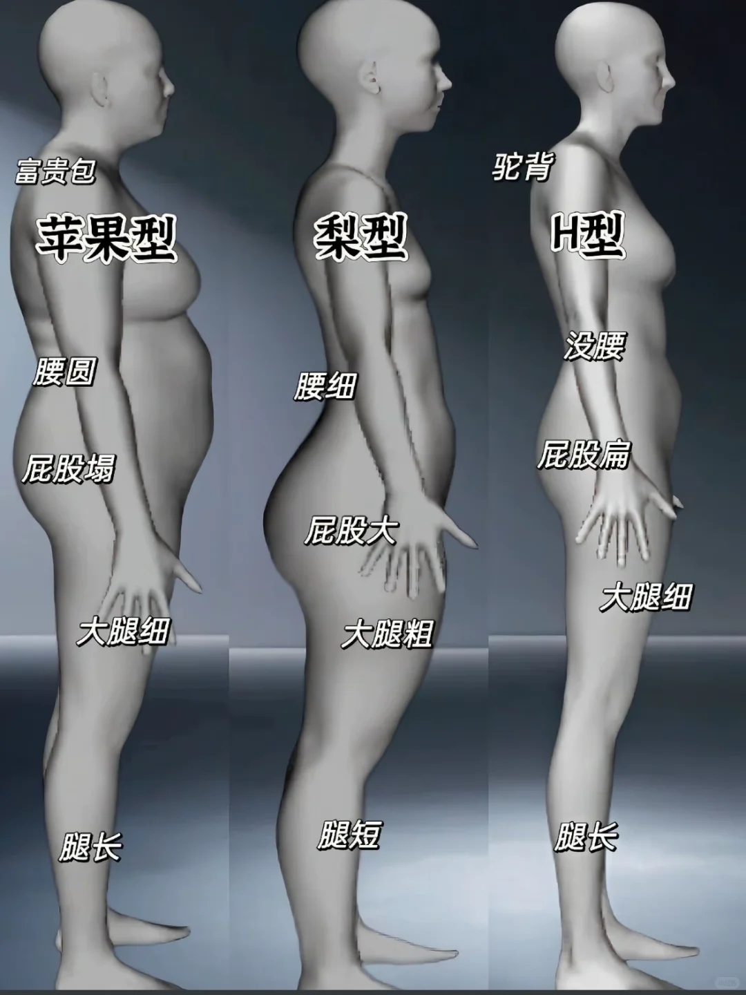 必看！3 种身材类型特点及穿搭秘籍✨