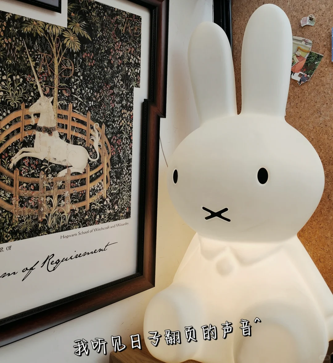 瞒着朋友悄悄做自媒体第十五天🥳