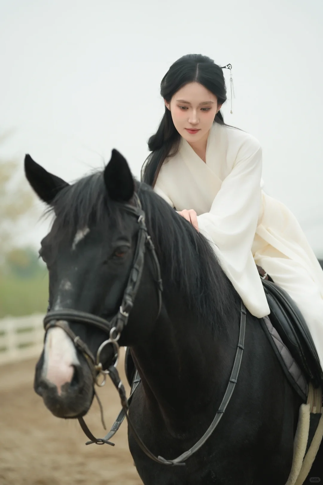 白马与佳人，邂逅古风绮梦🐎
