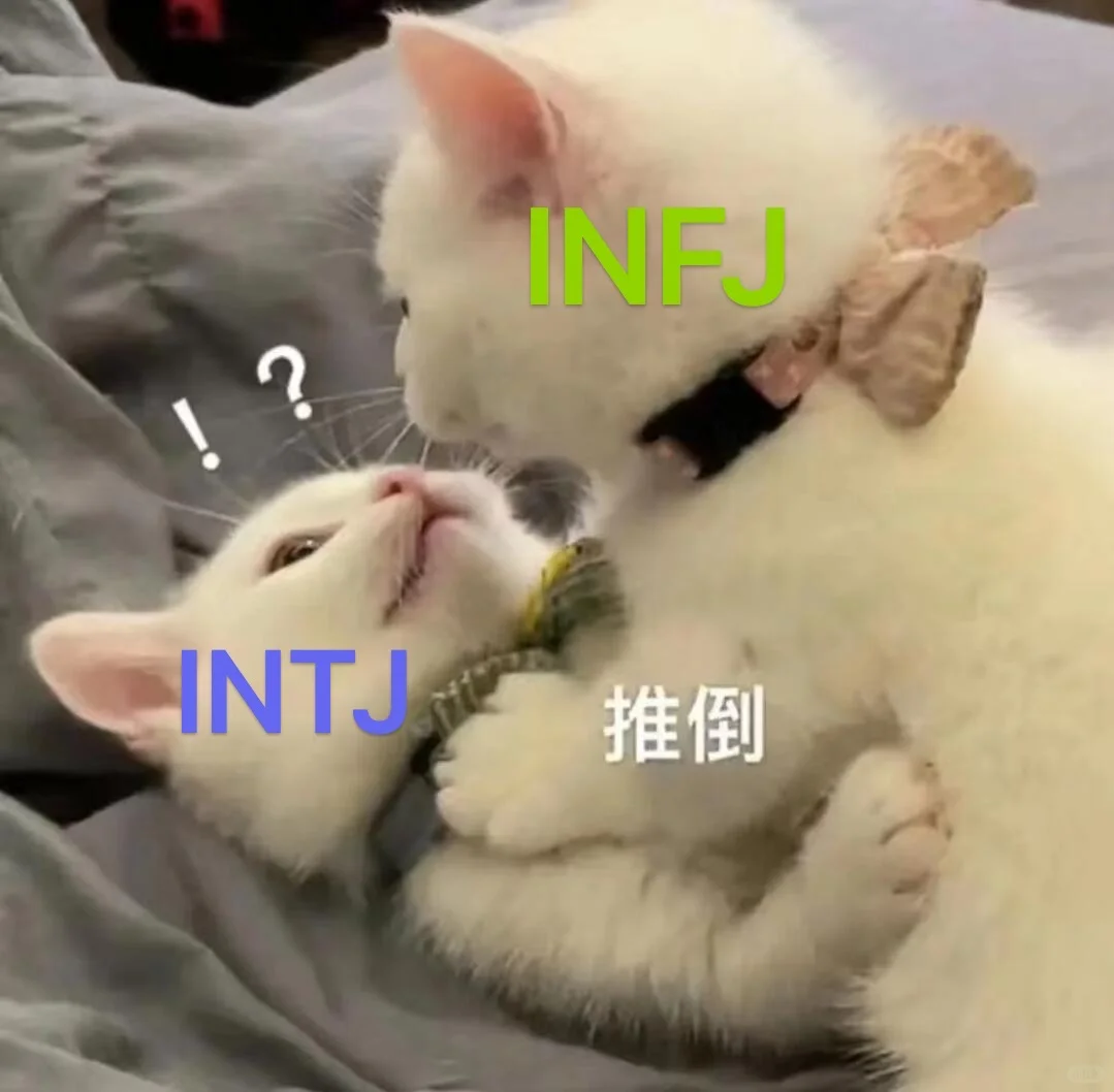 我家INTJ真是太涩了😑