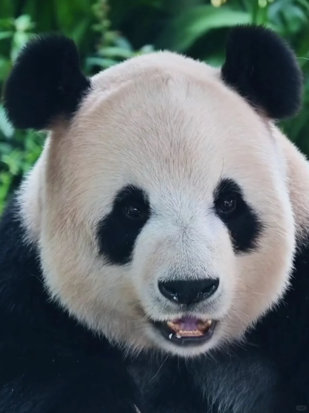 飞云：天生丽质从来不惧怼脸拍摄