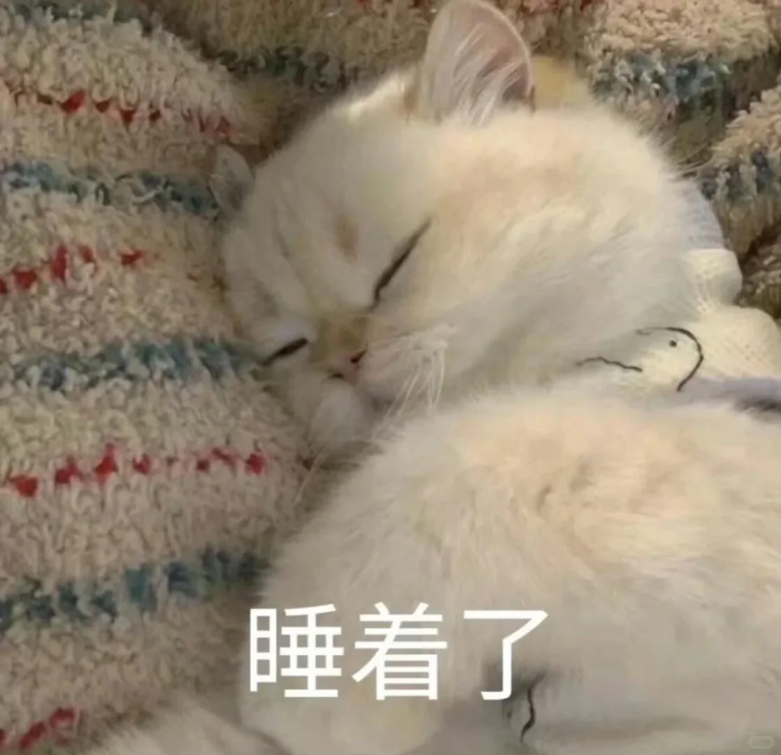 表情包｜敲有梗的小猫表情包！