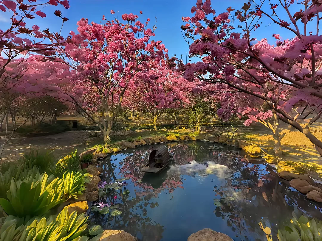 电脑、ipad壁纸｜来看一下花的海洋吧！