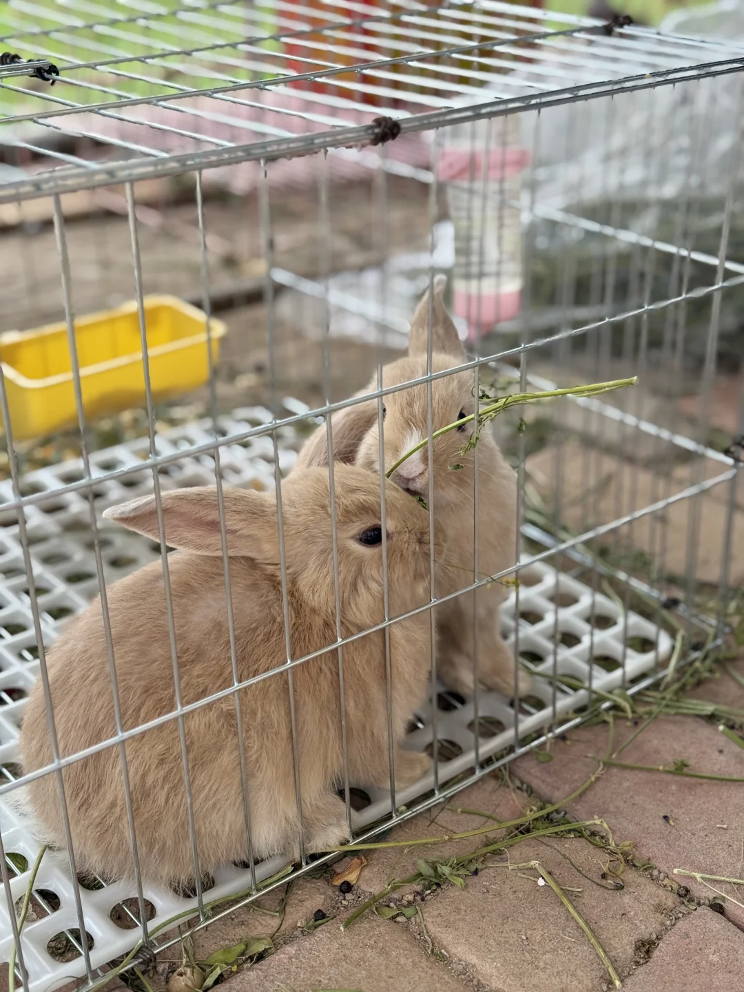 我有一个朋友