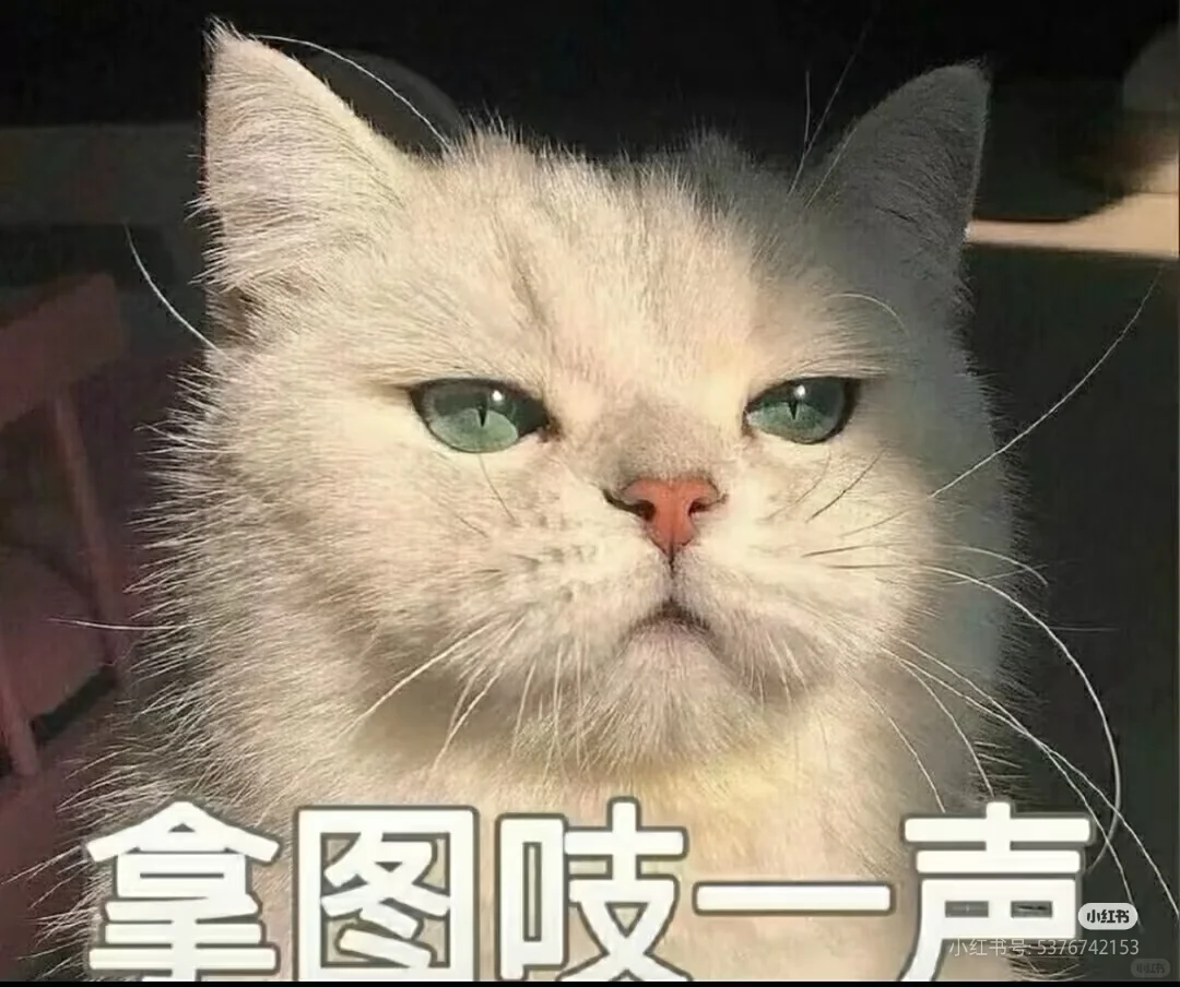 氛围感壁纸背景图！！！