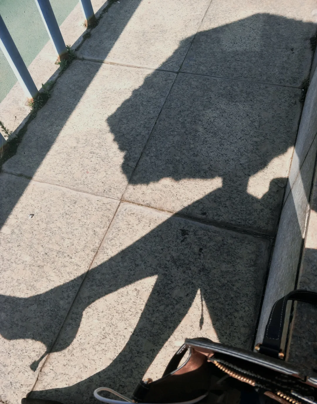 想看看高跟圣体都是什么样子的