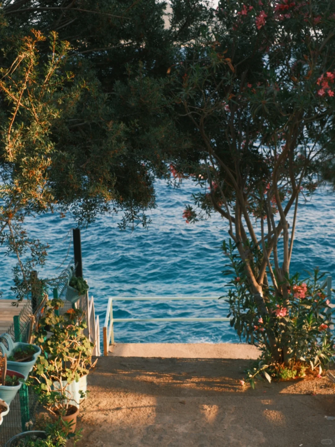 𝑆𝑢𝑚𝑚𝑒𝑟 𝐶𝑟𝑢𝑠ℎ | 地中海夏日🫧