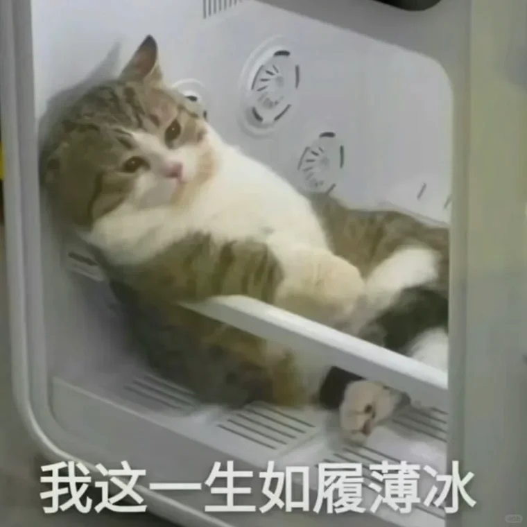 真的好喜欢这个表情包啊啊啊啊啊啊