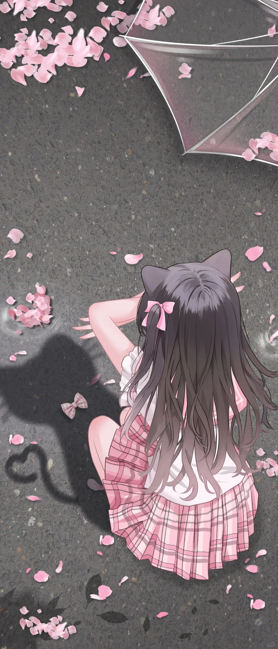 😺小猫影子壁纸来喽~