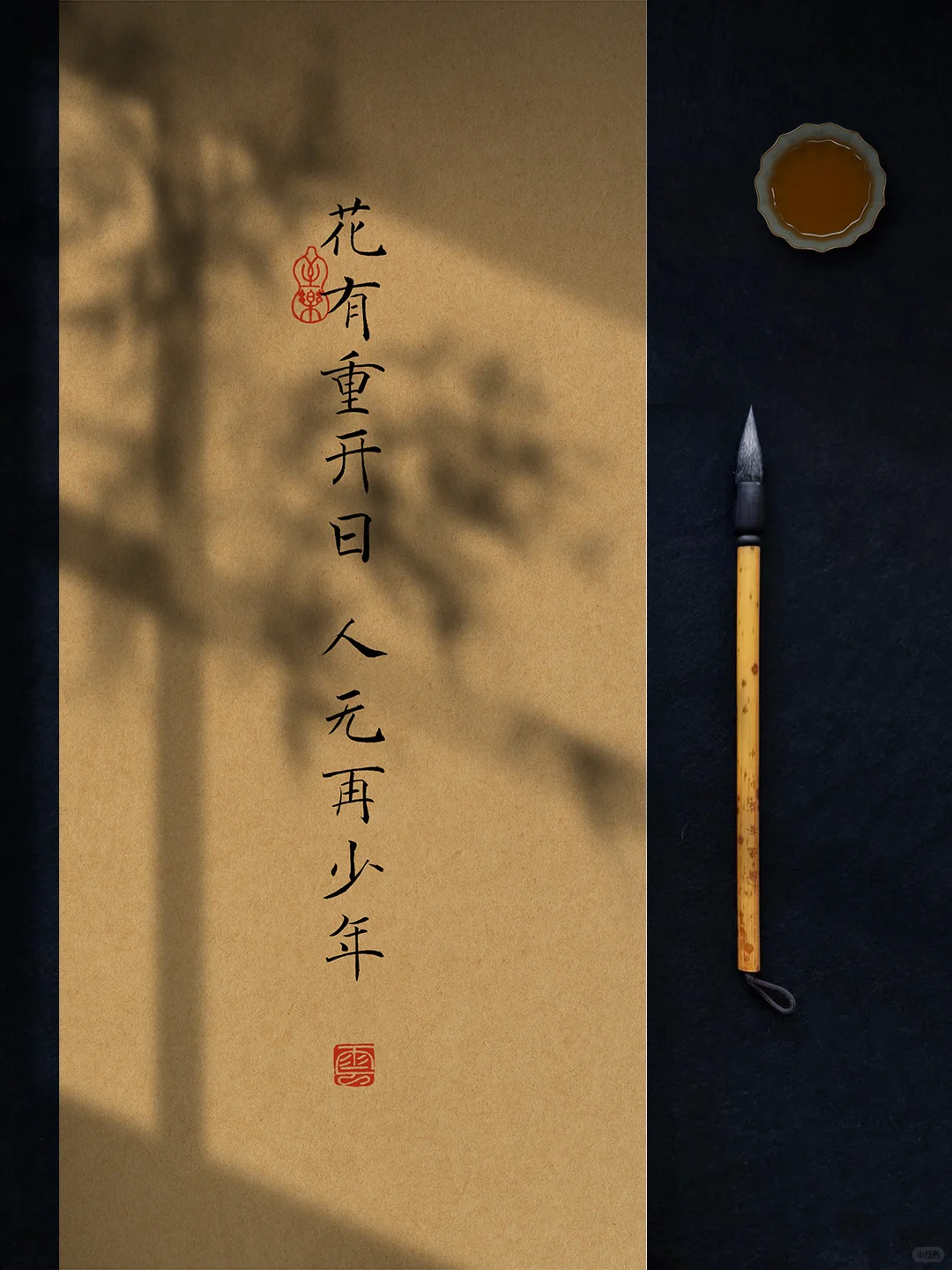 花有重开日，人无再少年。