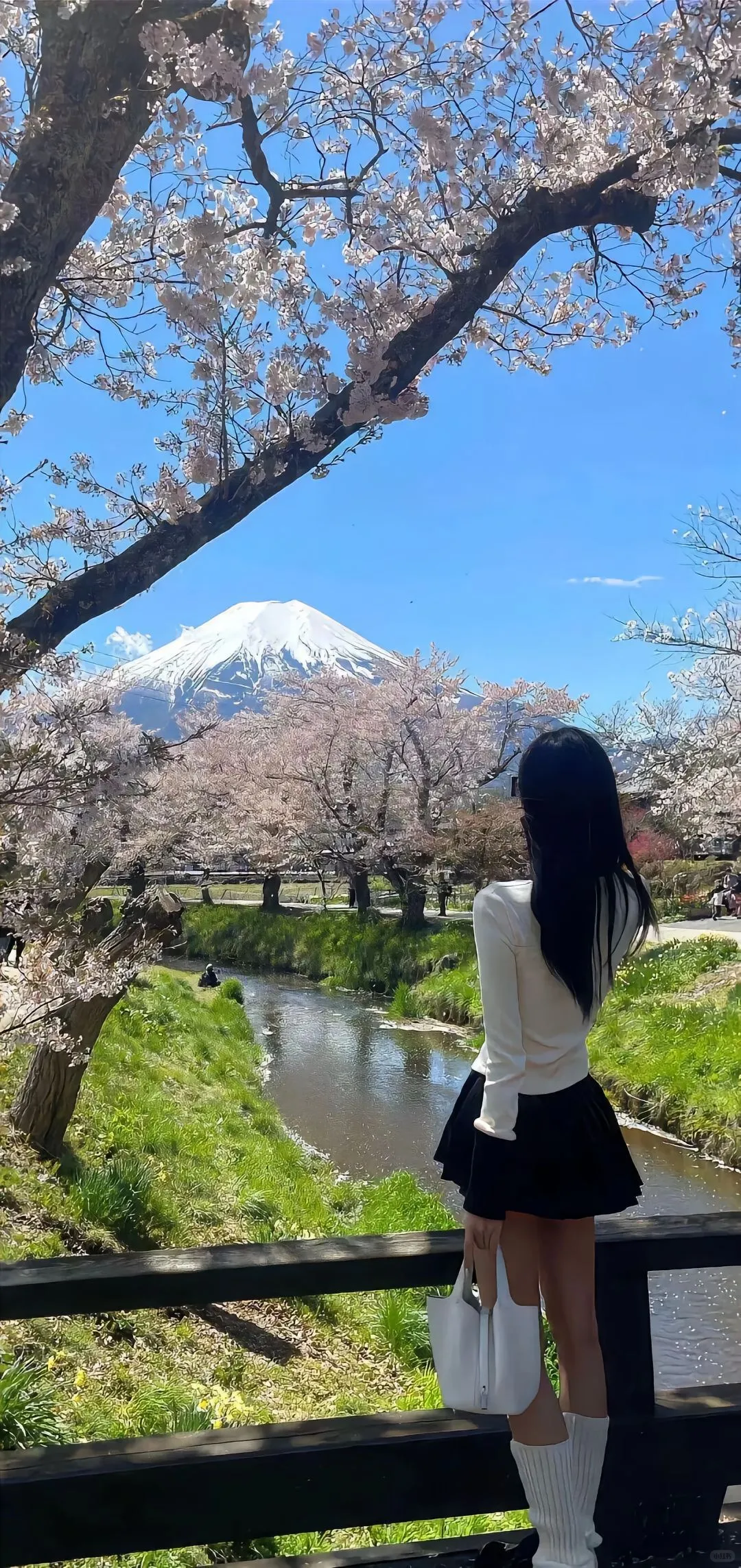 美女系列8K超清壁纸