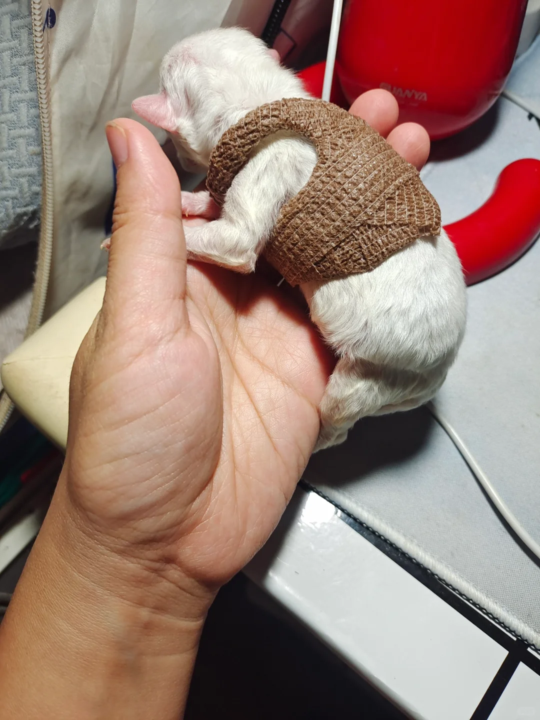 自制狗狗平胸衣