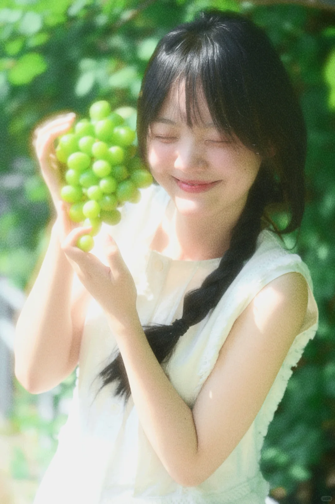 “青提之恋”