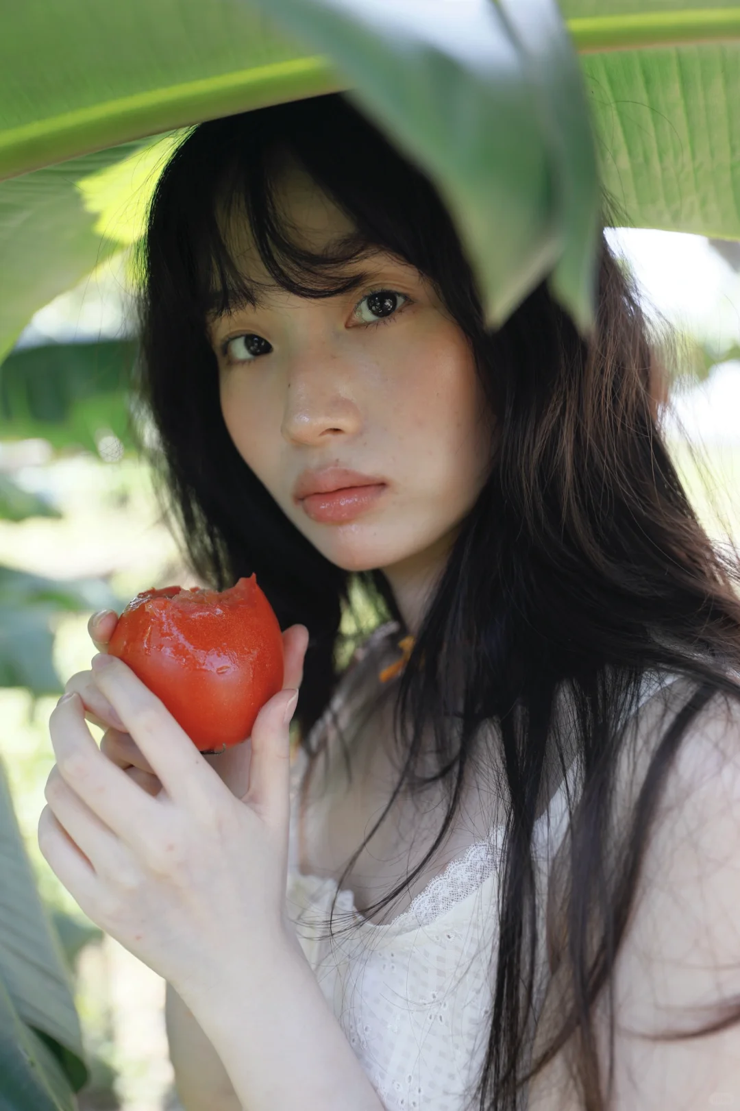 感受夏天的风