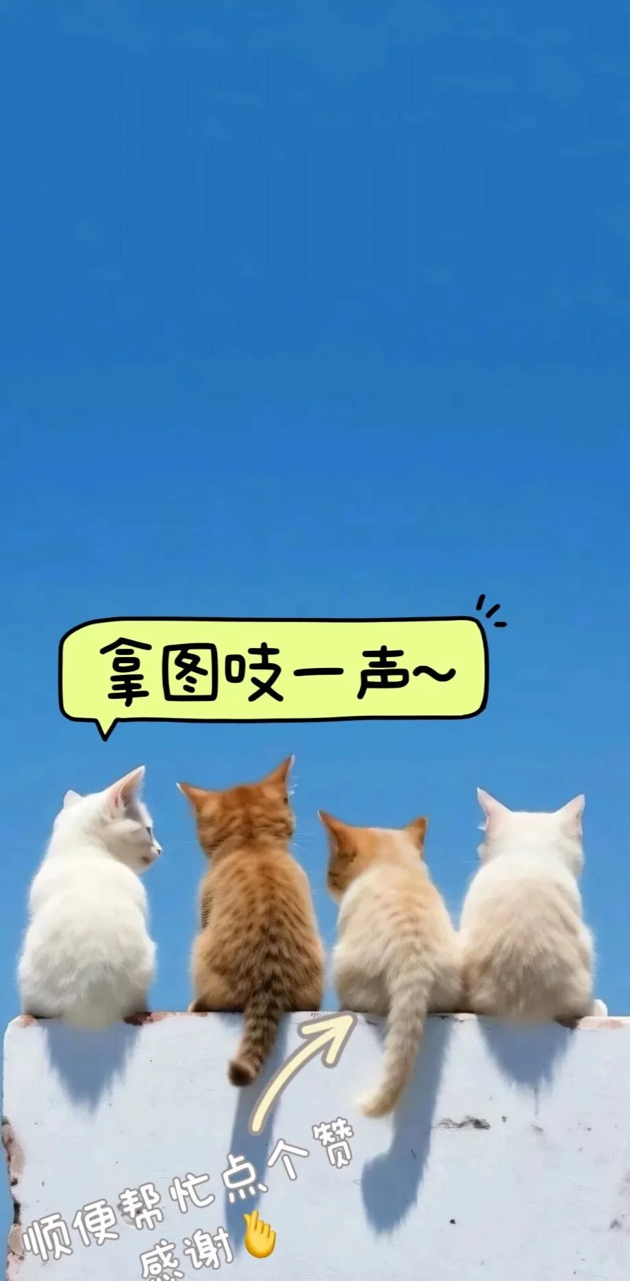 你的壁纸该换了，超高清8K手机壁纸分享