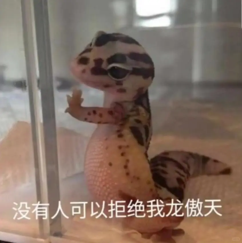 奇奇怪怪的表情包，真的很可爱！！