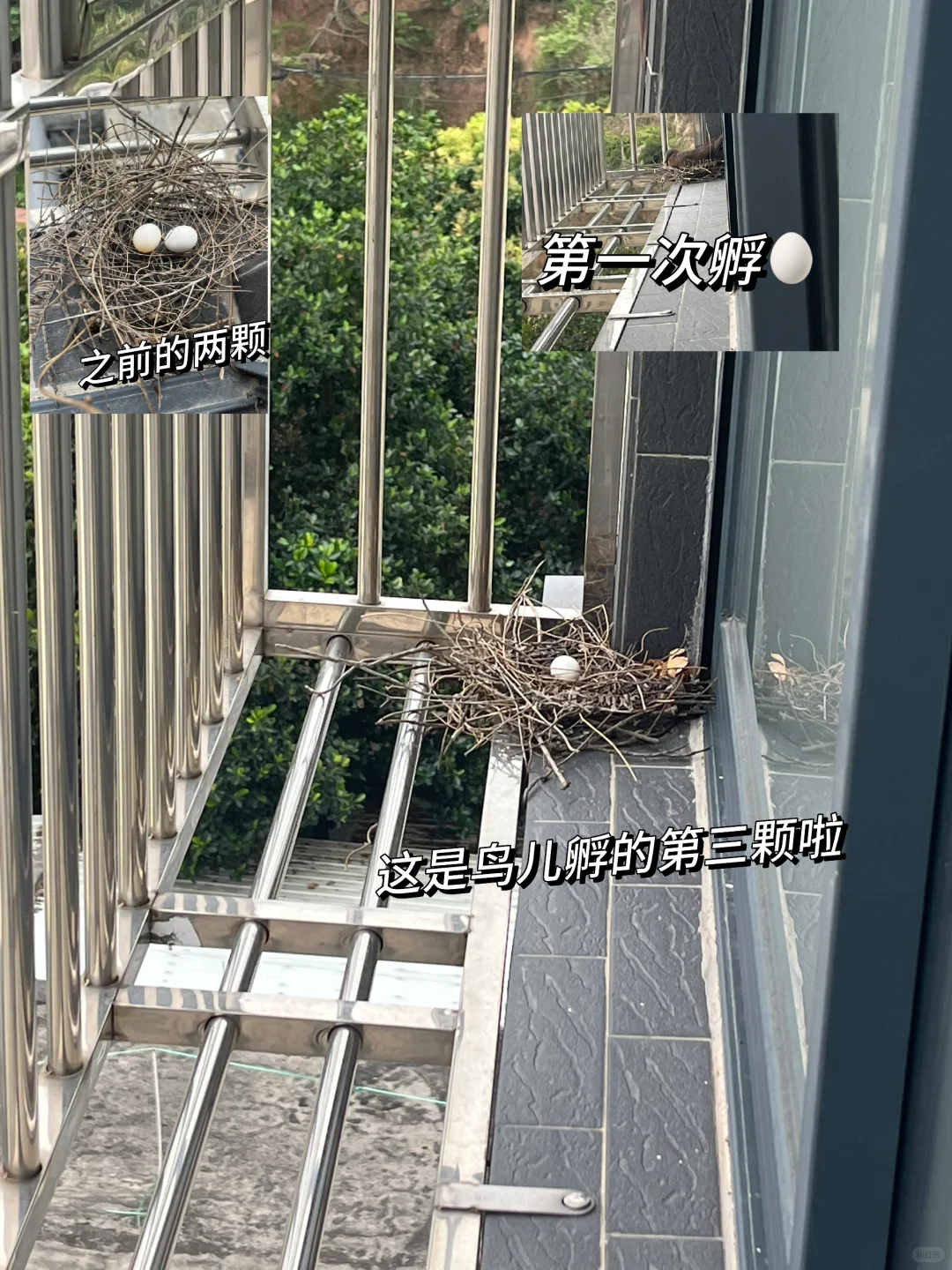 今日份纯欲风内裤｜结局有彩蛋啦！