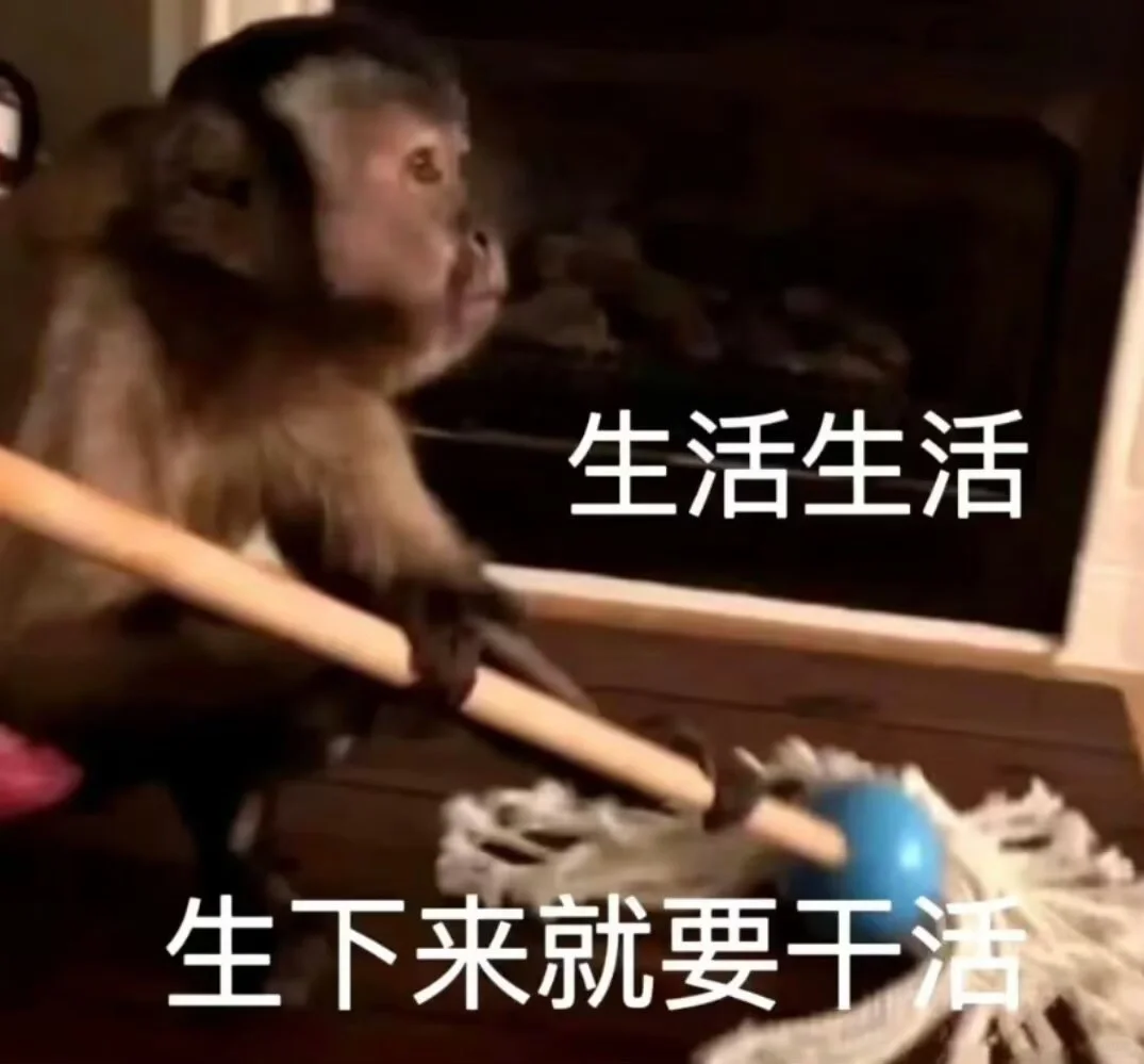 小猴子表情包