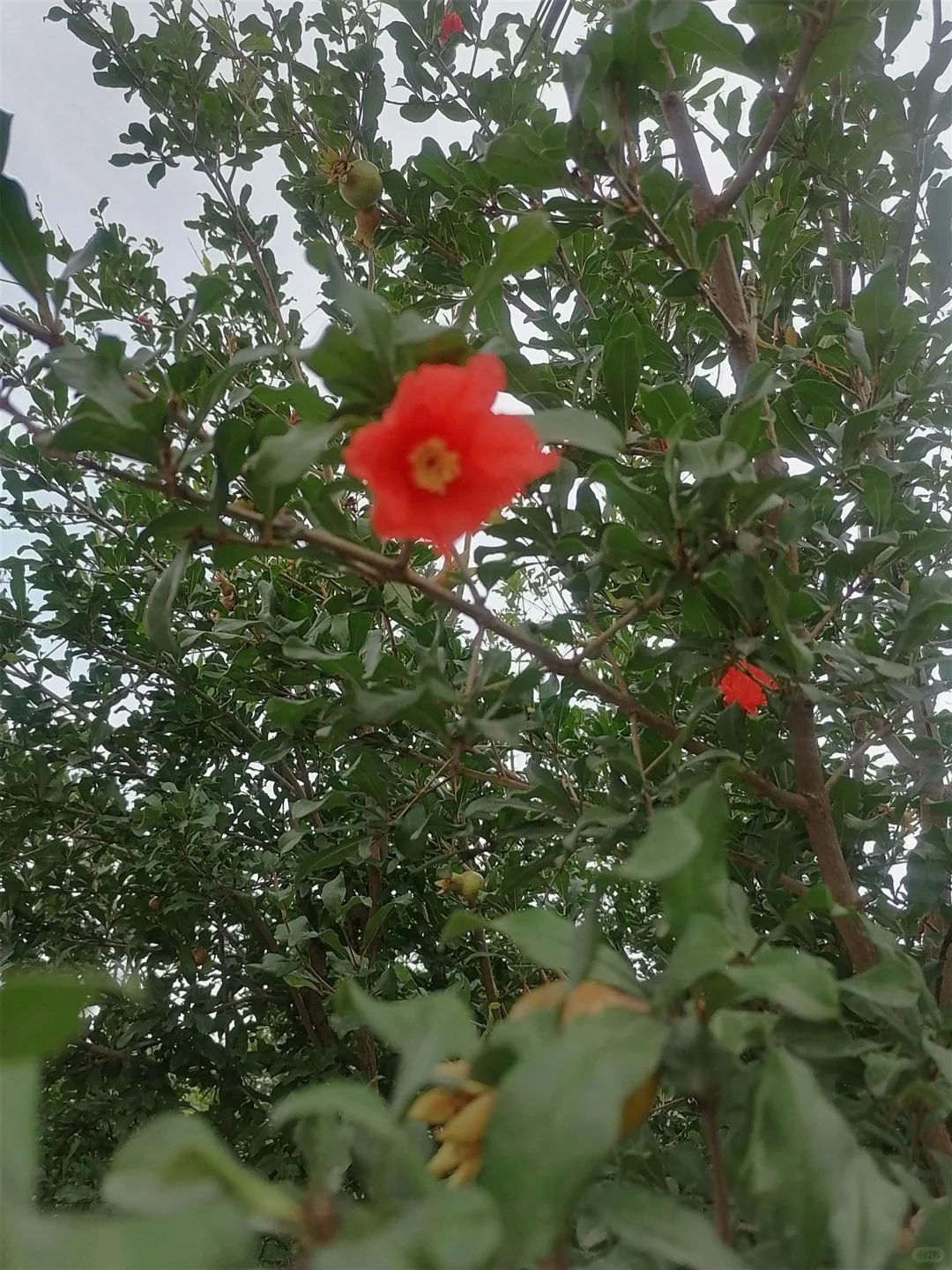 48岁的阿姨，可以浅浅的表扬一下我嘛