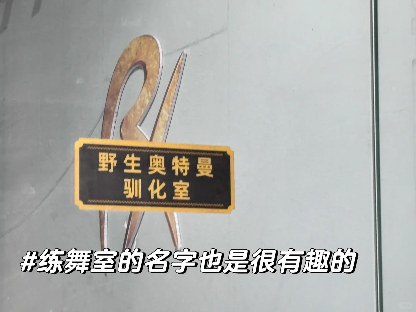 当我在几乎全女公司上班
