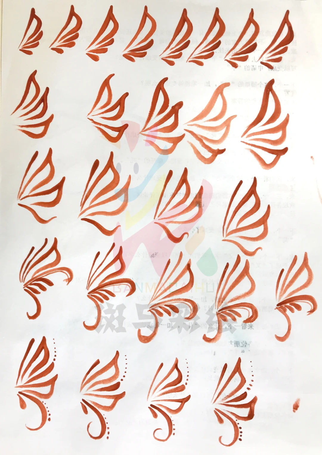蝴蝶线训练
