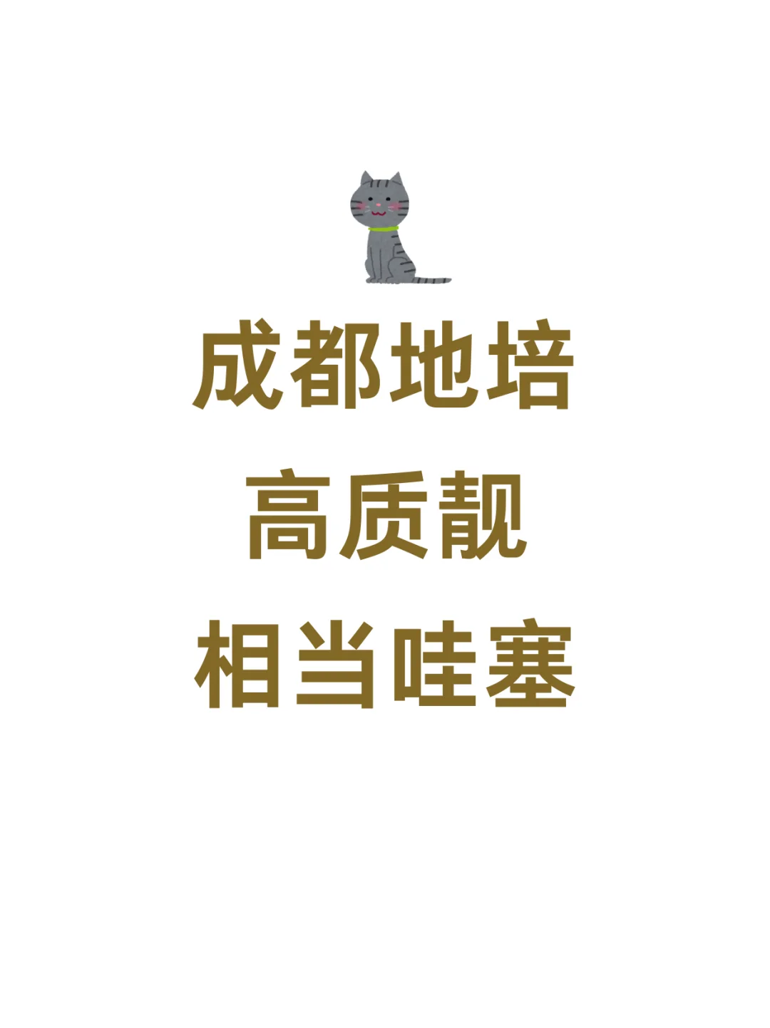 女神级别 率
