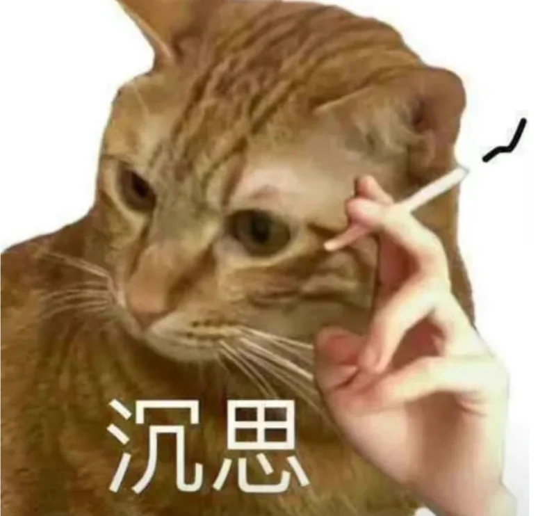 在新疆的酒吧看美女跳舞