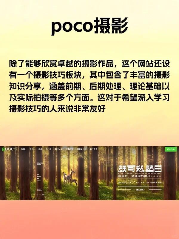 审美提升！学摄影📷必看的6个优质网站