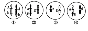 高考生物二轮复习之减数分裂异常情况 第7张