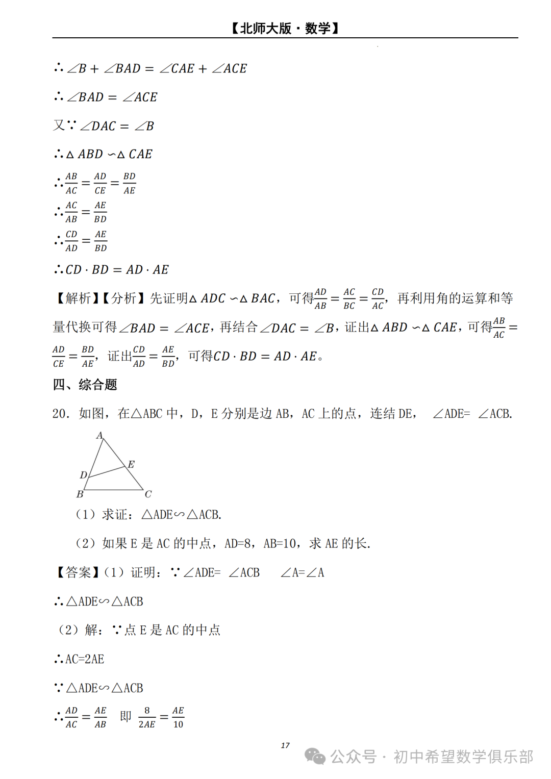 【2024年中考数学.北师大版】二轮复习---相似三角形的判定与性质 (解析) 第18张