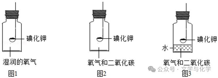 中考高分突破-科学探究题-3 第12张